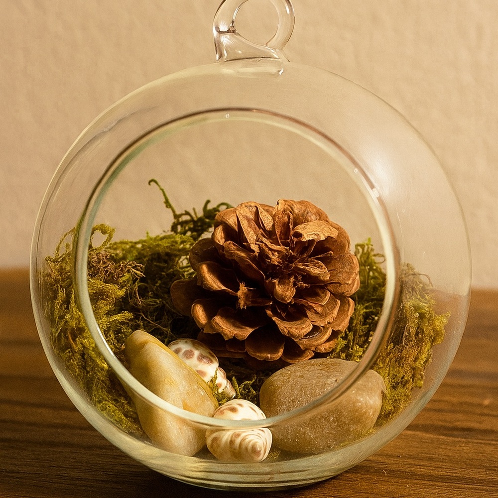 Glass Terrarium with Pine Cone and Shells